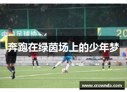 奔跑在绿茵场上的少年梦